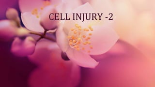 CELL INJURY -2
 