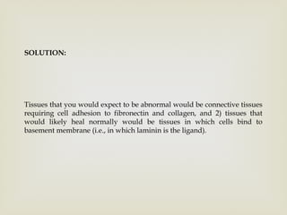 SOLUTION:
Tissues that you would expect to be abnormal would be connective tissues
requiring cell adhesion to fibronectin and collagen, and 2) tissues that
would likely heal normally would be tissues in which cells bind to
basement membrane (i.e., in which laminin is the ligand).
 