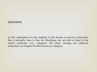 SOLUTION:
a) One explanation for the inability of the dermis to heal by contraction
like it normally does is that the fibroblasts are not able to bind to the
matrix molecules (viz., collagen). The likely missing cell adhesion
molecule is an integrin for fibronectin (or collagen).
 