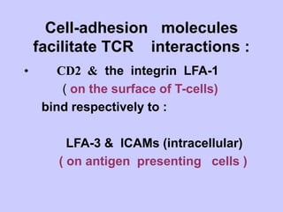 Cell-adhesion molecules
facilitate TCR interactions :
• CD2 & the integrin LFA-1
( on the surface of T-cells)
bind respectively to :
LFA-3 & ICAMs (intracellular)
( on antigen presenting cells )
 