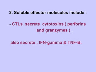2. Soluble effector molecules include :
- CTLs secrete cytotoxins ( perforins
and granzymes ) .
also secrete : IFN-gamma & TNF-B.
 