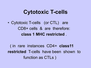 Cytotoxic T-cells
• Cytotoxic T-cells (or CTL) are
CD8+ cells & are therefore:
class 1 MHC restricted .
( in rare instances CD4+ class11
restricted T-cells have been shown to
function as CTLs )
 