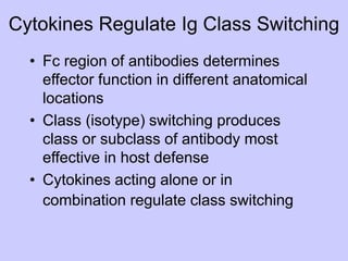 Cytokines Regulate Ig Class Switching
• Fc region of antibodies determines
effector function in different anatomical
locations
• Class (isotype) switching produces
class or subclass of antibody most
effective in host defense
• Cytokines acting alone or in
combination regulate class switching
 