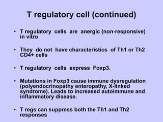 T regulatory cell (continued)
• T regulatory cells are anergic (non-responsive)
in vitro
• They do not have characteristics of Th1 or Th2
CD4+ cells
• T regulatory cells express Foxp3.
• Mutations in Foxp3 cause immune dysregulation
(polyendocrinopathy enteropathy, X-linked
syndrome). Leads to increased autoimmune and
inflammatory disease.
• T regs can suppress both the Th1 and Th2
responses
 