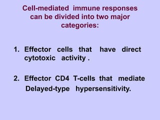 Cell-mediated immune responses
can be divided into two major
categories:
1. Effector cells that have direct
cytotoxic activity .
2. Effector CD4 T-cells that mediate
Delayed-type hypersensitivity.
 