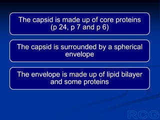 The capsid is made up of core proteins
(p 24, p 7 and p 6)
The capsid is surrounded by a spherical
envelope
The envelope is made up of lipid bilayer
and some proteins
 