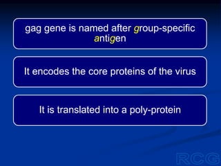 gag gene is named after group-specific
antigen
It encodes the core proteins of the virus
It is translated into a poly-protein
 