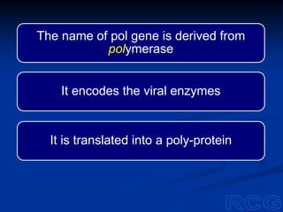 The name of pol gene is derived from
polymerase
It encodes the viral enzymes
It is translated into a poly-protein
 
