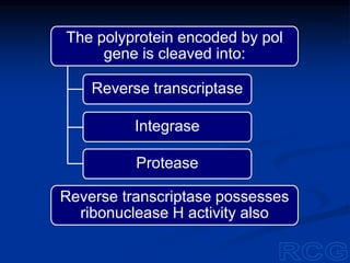 The polyprotein encoded by pol
gene is cleaved into:
Reverse transcriptase
Integrase
Protease
Reverse transcriptase possesses
ribonuclease H activity also
 