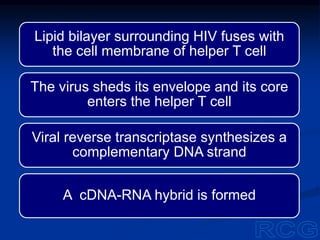 Lipid bilayer surrounding HIV fuses with
the cell membrane of helper T cell
The virus sheds its envelope and its core
enters the helper T cell
Viral reverse transcriptase synthesizes a
complementary DNA strand
A cDNA-RNA hybrid is formed
 