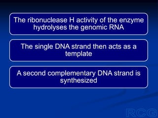 The ribonuclease H activity of the enzyme
hydrolyses the genomic RNA
The single DNA strand then acts as a
template
A second complementary DNA strand is
synthesized
 