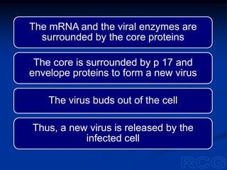 The mRNA and the viral enzymes are
surrounded by the core proteins
The core is surrounded by p 17 and
envelope proteins to form a new virus
The virus buds out of the cell
Thus, a new virus is released by the
infected cell
 