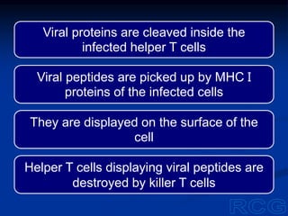 Viral proteins are cleaved inside the
infected helper T cells
Viral peptides are picked up by MHC I
proteins of the infected cells
They are displayed on the surface of the
cell
Helper T cells displaying viral peptides are
destroyed by killer T cells
 