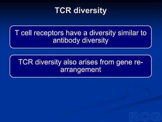 T cell receptors have a diversity similar to
antibody diversity
TCR diversity also arises from gene re-
arrangement
TCR diversity
 