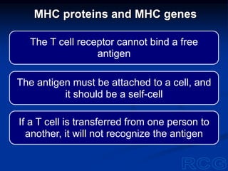 The T cell receptor cannot bind a free
antigen
The antigen must be attached to a cell, and
it should be a self-cell
If a T cell is transferred from one person to
another, it will not recognize the antigen
MHC proteins and MHC genes
 