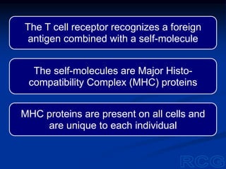The T cell receptor recognizes a foreign
antigen combined with a self-molecule
The self-molecules are Major Histo-
compatibility Complex (MHC) proteins
MHC proteins are present on all cells and
are unique to each individual
 
