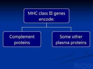 MHC class III genes
encode:
Complement
proteins
Some other
plasma proteins
 