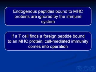 Endogenous peptides bound to MHC
proteins are ignored by the immune
system
If a T cell finds a foreign peptide bound
to an MHC protein, cell-mediated immunity
comes into operation
 