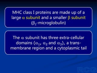 MHC class I proteins are made up of a
large a subunit and a smaller b subunit
(b2-microglobulin)
The a subunit has three extra-cellular
domains (a1, a2 and a3), a trans-
membrane region and a cytoplasmic tail
 