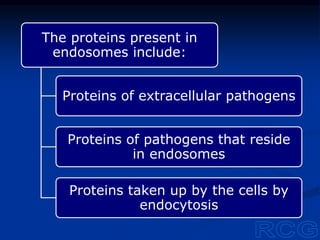The proteins present in
endosomes include:
Proteins of extracellular pathogens
Proteins of pathogens that reside
in endosomes
Proteins taken up by the cells by
endocytosis
 