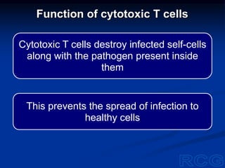 Cytotoxic T cells destroy infected self-cells
along with the pathogen present inside
them
This prevents the spread of infection to
healthy cells
Function of cytotoxic T cells
 