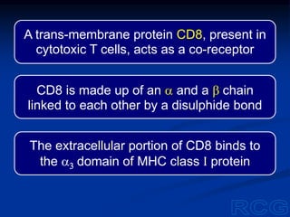 A trans-membrane protein CD8, present in
cytotoxic T cells, acts as a co-receptor
CD8 is made up of an a and a b chain
linked to each other by a disulphide bond
The extracellular portion of CD8 binds to
the a3 domain of MHC class I protein
 