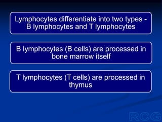 T lymphocytes (T cells) are processed in
thymus
B lymphocytes (B cells) are processed in
bone marrow itself
Lymphocytes differentiate into two types -
B lymphocytes and T lymphocytes
 