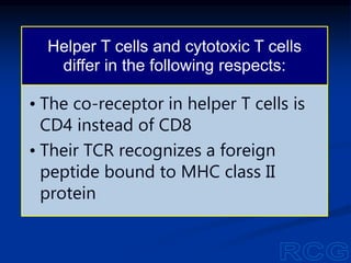 Helper T cells and cytotoxic T cells
differ in the following respects:
• The co-receptor in helper T cells is
CD4 instead of CD8
• Their TCR recognizes a foreign
peptide bound to MHC class II
protein
 