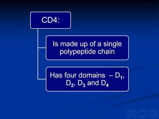 CD4:
Is made up of a single
polypeptide chain
Has four domains – D1,
D2, D3 and D4
 