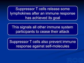 Suppressor T cells release some
lymphokines after an immune response
has achieved its goal
Suppressor T cells also prevent immune
response against self-molecules
This signals all other immune system
participants to cease their attack
 