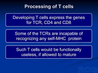 Developing T cells express the genes
for TCR, CD4 and CD8
Some of the TCRs are incapable of
recognizing any self-MHC protein
Such T cells would be functionally
useless, if allowed to mature
Processing of T cells
 