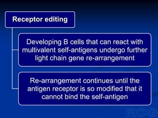 Receptor editing
Developing B cells that can react with
multivalent self-antigens undergo further
light chain gene re-arrangement
Re-arrangement continues until the
antigen receptor is so modified that it
cannot bind the self-antigen
 