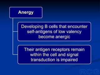 Anergy
Developing B cells that encounter
self-antigens of low valency
become anergic
Their antigen receptors remain
within the cell and signal
transduction is impaired
 