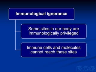Immunological ignorance
Some sites in our body are
immunologically privileged
Immune cells and molecules
cannot reach these sites
 