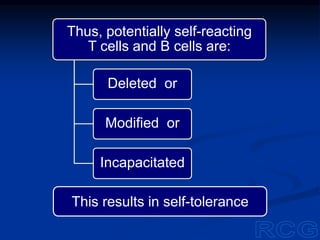 This results in self-tolerance
Thus, potentially self-reacting
T cells and B cells are:
Deleted or
Modified or
Incapacitated
 
