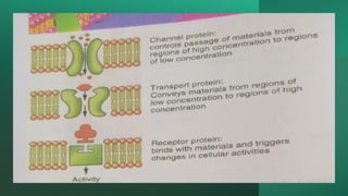 Discussion about cells CELL-MEMBRANE.pptx