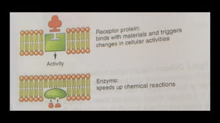 Discussion about cells CELL-MEMBRANE.pptx