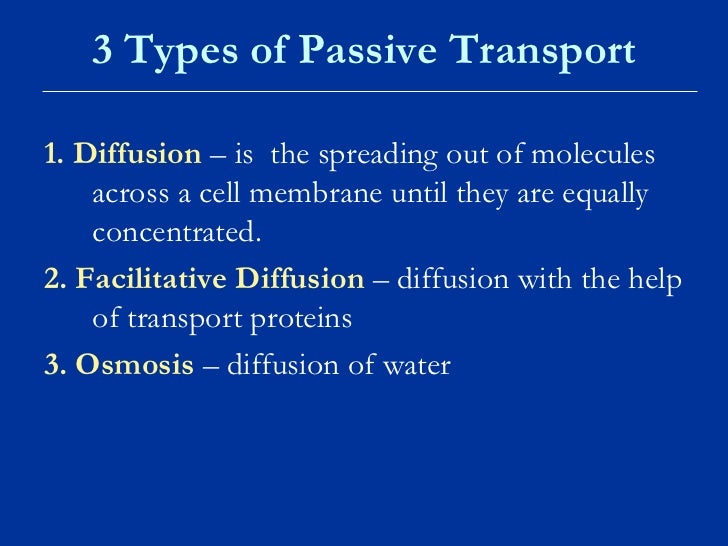 Cell Membrane And Cell Transport Notes New