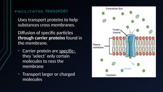 FACILITATED TRANSPORT
Uses transport proteins to help
substances cross membranes.
Diffusion of specific particles
through carrier proteins found in
the membrane.
• Carrier protein are specific-
they ‘select’ only certain
molecules to ross the
membrane
• Transport larger or charged
molecules
This Photo by Unknown Author is licensed under CC BY-SA-NC
 