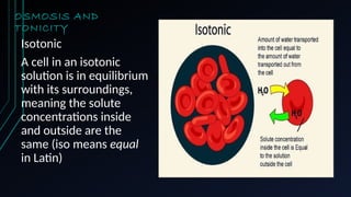 OSMOSIS AND
TONICITY
Isotonic
A cell in an isotonic
solution is in equilibrium
with its surroundings,
meaning the solute
concentrations inside
and outside are the
same (iso means equal
in Latin)
 