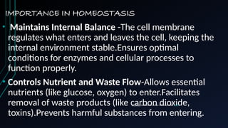IMPORTANCE IN HOMEOSTASIS
• Maintains Internal Balance -The cell membrane
regulates what enters and leaves the cell, keeping the
internal environment stable.Ensures optimal
conditions for enzymes and cellular processes to
function properly.
• Controls Nutrient and Waste Flow-Allows essential
nutrients (like glucose, oxygen) to enter.Facilitates
removal of waste products (like carbon dioxide,
toxins).Prevents harmful substances from entering.
This Photo by Unknown Author is licensed under CC BY
 