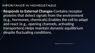 IMPORTANCE IN HOMEOSTASIS
• Responds to External Changes-Contains receptor
proteins that detect signals from the environment
(e.g., hormones, chemicals).Enables the cell to adapt
and react (e.g., opening channels, activating
transporters).Helps maintain dynamic equilibrium
despite fluctuating conditions.
This Photo by Unknown Author is licensed under CC BY
 