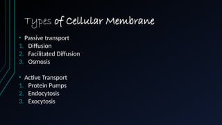 Types of Cellular Membrane
• Passive transport
1. Diffusion
2. Facilitated Diffusion
3. Osmosis
• Active Transport
1. Protein Pumps
2. Endocytosis
3. Exocytosis
 