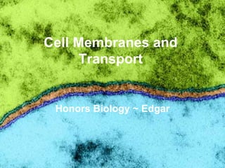 Cell Membranes and Transport Honors Biology ~ Edgar 