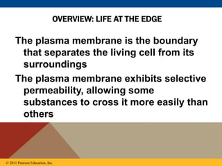 CELL-MEMBRANE-STRUCTURE-FUNCTION-WEEK-5.ppt