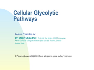 Cellular Glycolytic Pathways Lecture Presented by: Dr. Ozair Chaudhry ,   Ph.D.,CP Ag. (USA)., MOCT ( Canada) Albert Campbell Collegiate Institute (NS) Con.Ed. Toronto, Ontario August, 2008 © Reserved copyright 2008. Users advised to quote author’ reference   