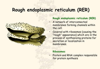 Structure Of The Rer Cell & Molecular Biology | PPT