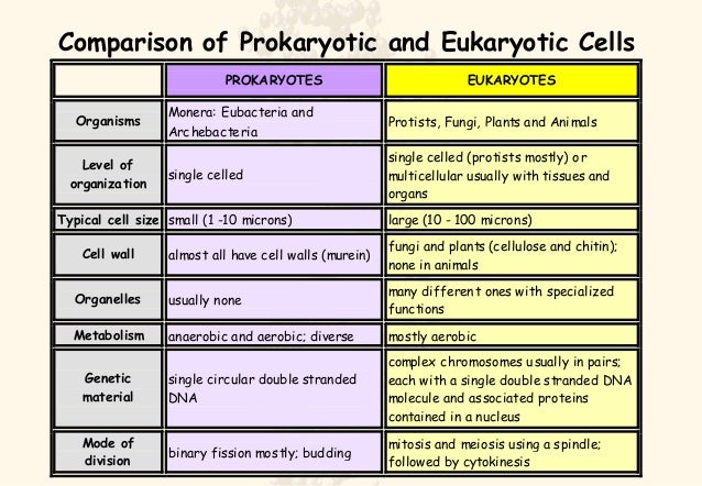 Different types essay structures