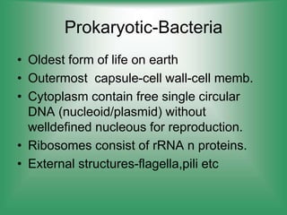 Prokaryotic-Bacteria
• Oldest form of life on earth
• Outermost capsule-cell wall-cell memb.
• Cytoplasm contain free single circular
DNA (nucleoid/plasmid) without
welldefined nucleous for reproduction.
• Ribosomes consist of rRNA n proteins.
• External structures-flagella,pili etc
 