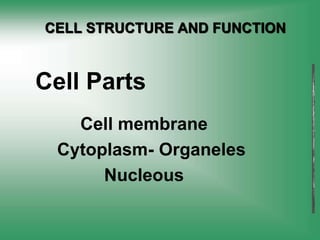 Cell Parts
Cell membrane
Cytoplasm- Organeles
Nucleous
CELL STRUCTURE AND FUNCTION
 